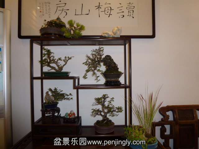 P1060490.JPG