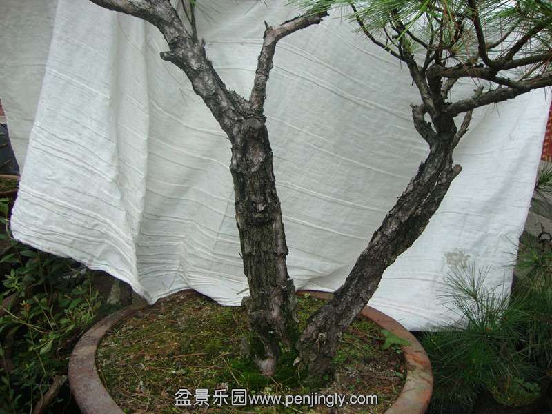 DSC03464_.jpg