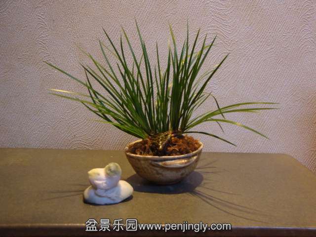 DSC01561.JPG