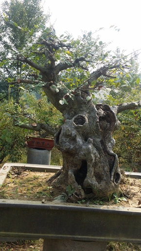 20150828_143509.jpg