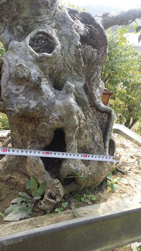 20150828_143521.jpg
