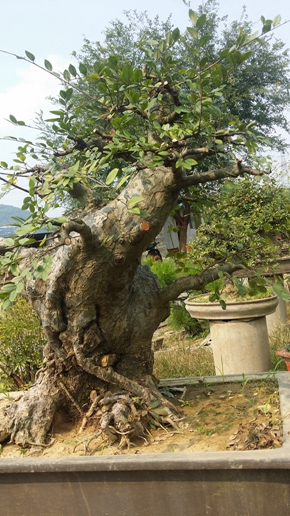 20150828_143534.jpg