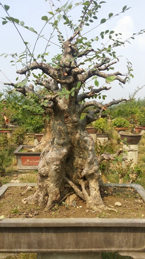 20150828_143558.jpg