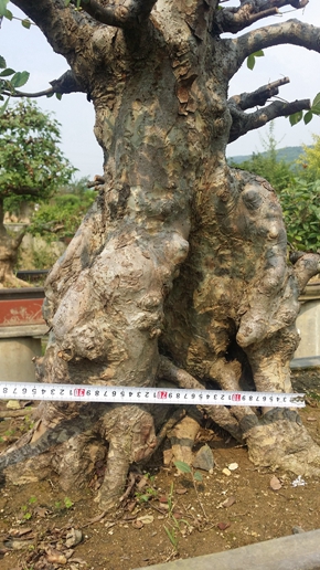 20150828_143605.jpg