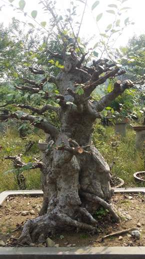 20150828_143614.jpg