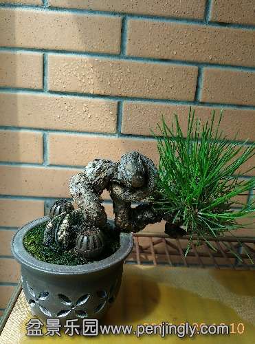 IMG_20150830_101005.jpg