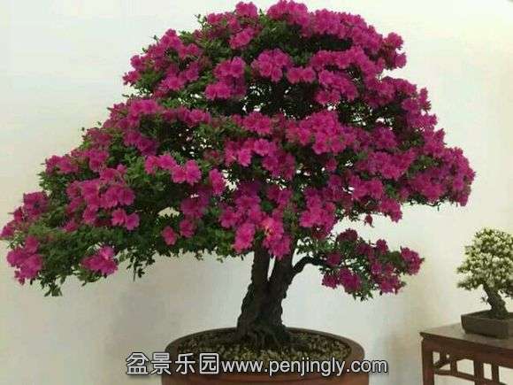 764d544e9258d10914c8d0ded758ccbf6c814d48.jpg
