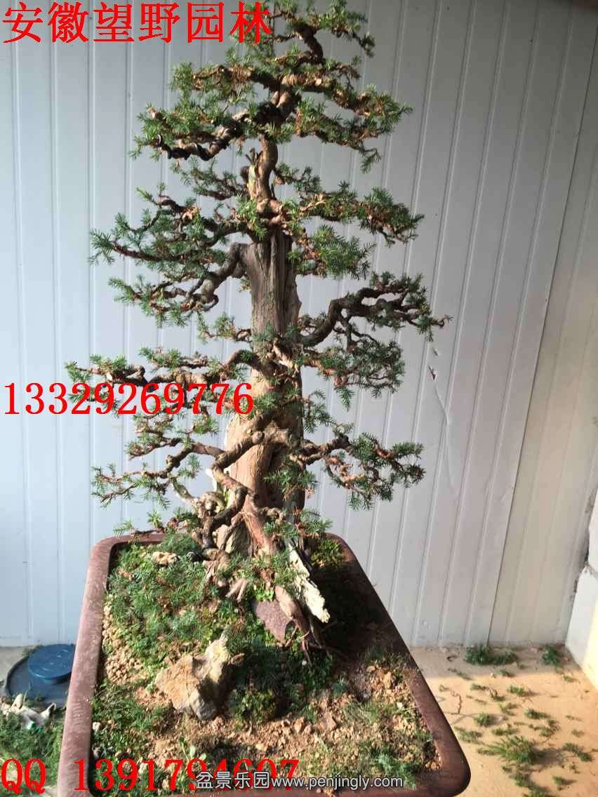 F5381489FBE0DD018D8DBBFA61489522.jpg