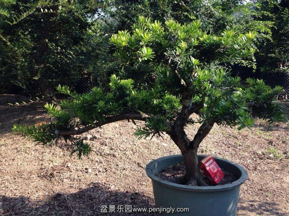 QQͼƬ20150831232722.jpg
