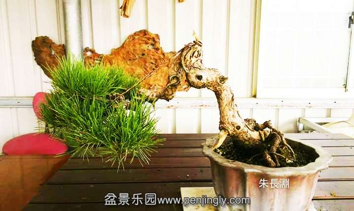 ȥ�����ǰ!