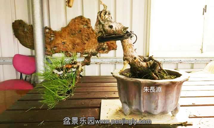 �������ǰ