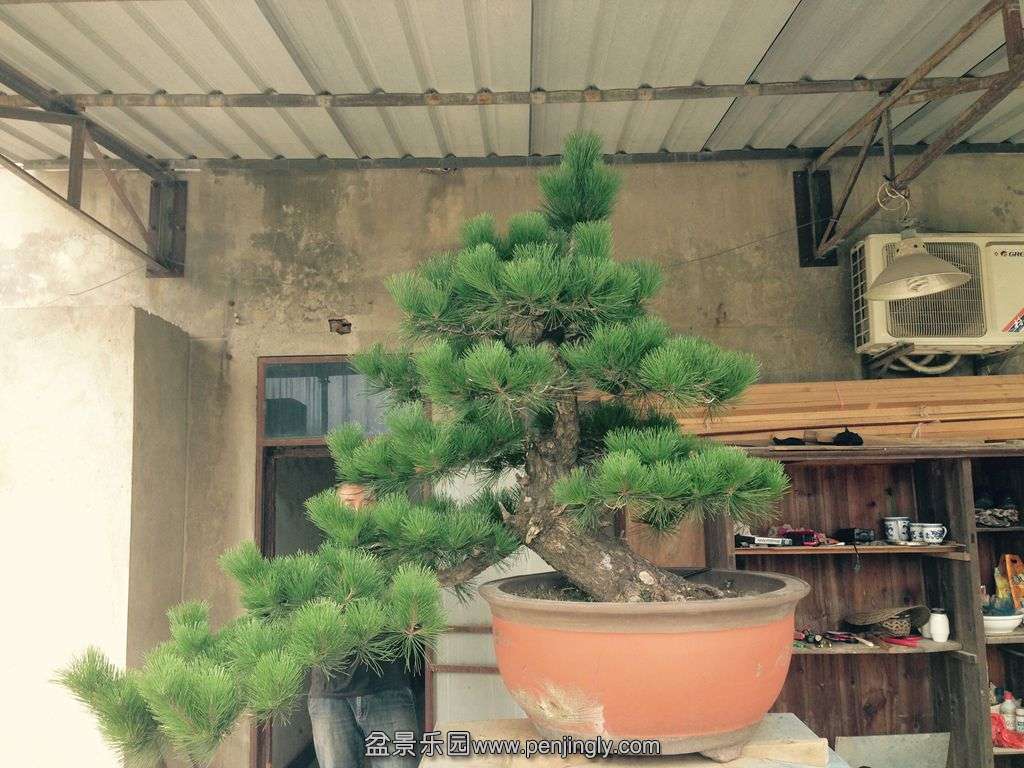 358.jpg