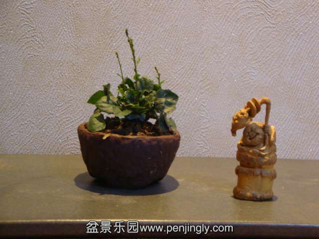 DSC01631.JPG