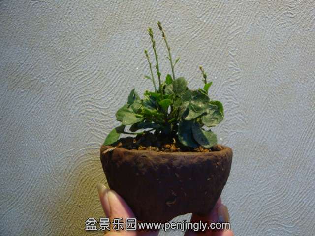 DSC01634.JPG