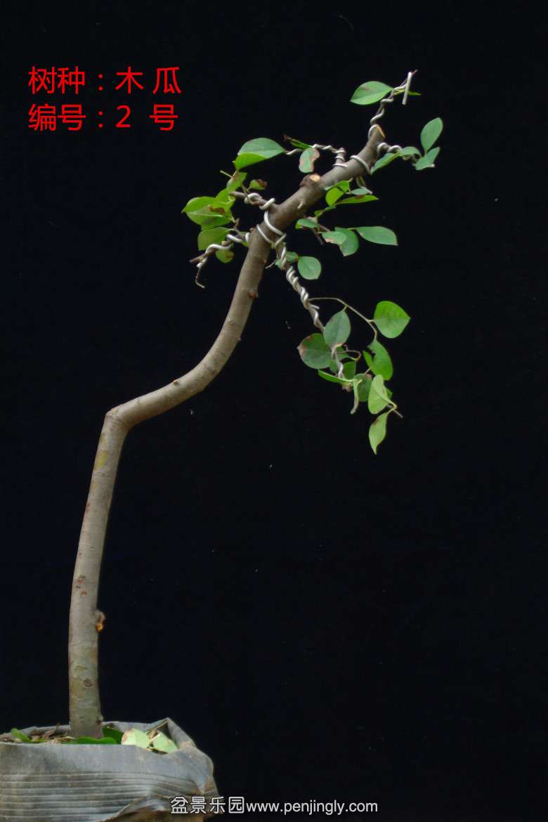GEDC1623.jpg