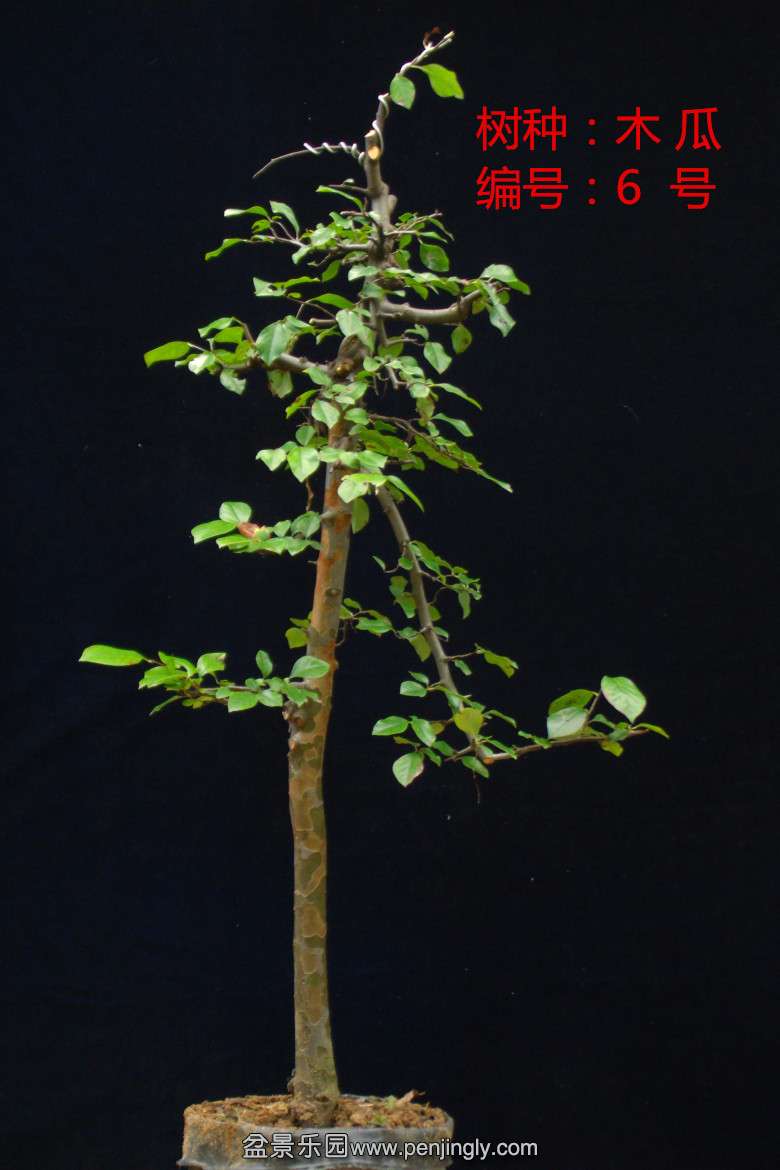 GEDC1638.jpg