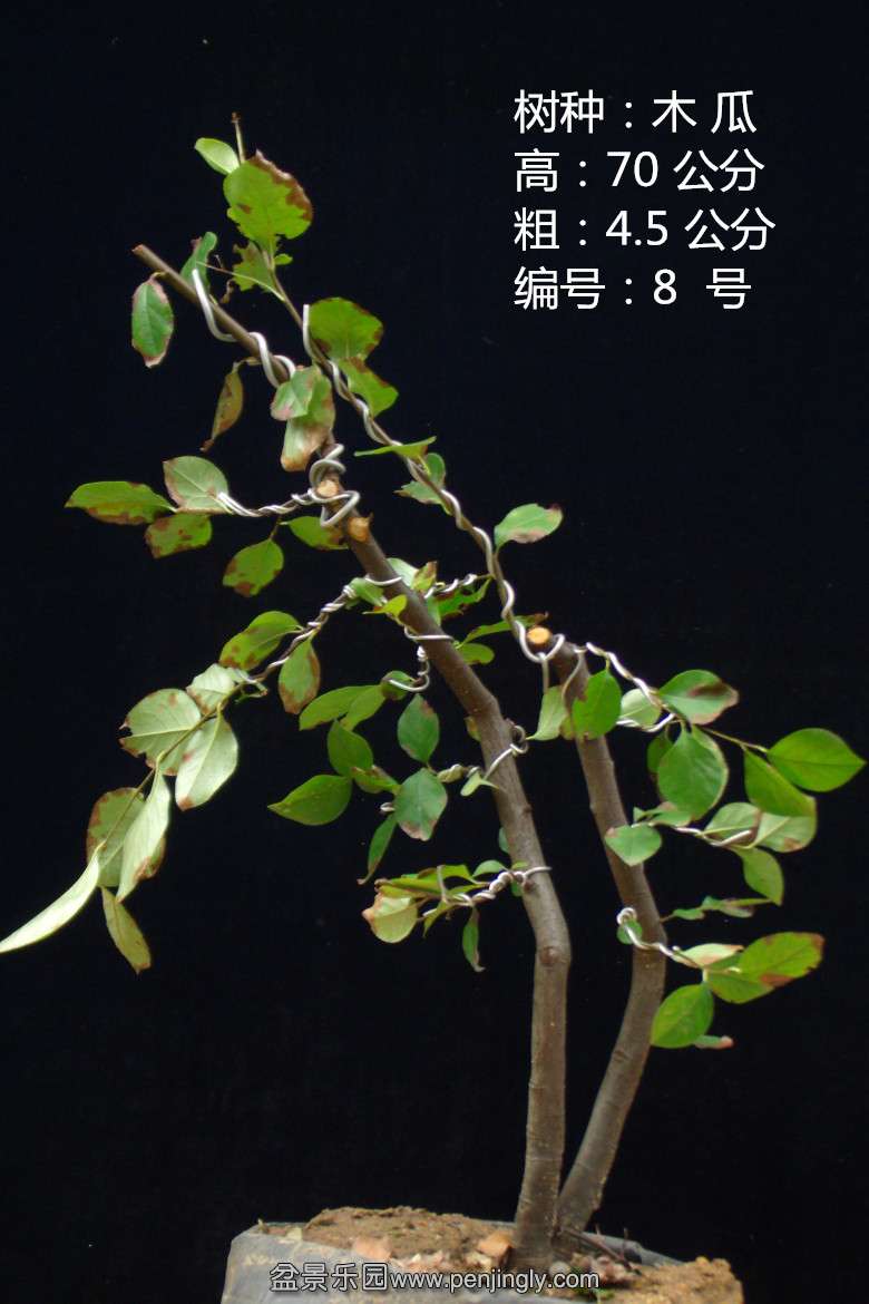 GEDC1646.jpg