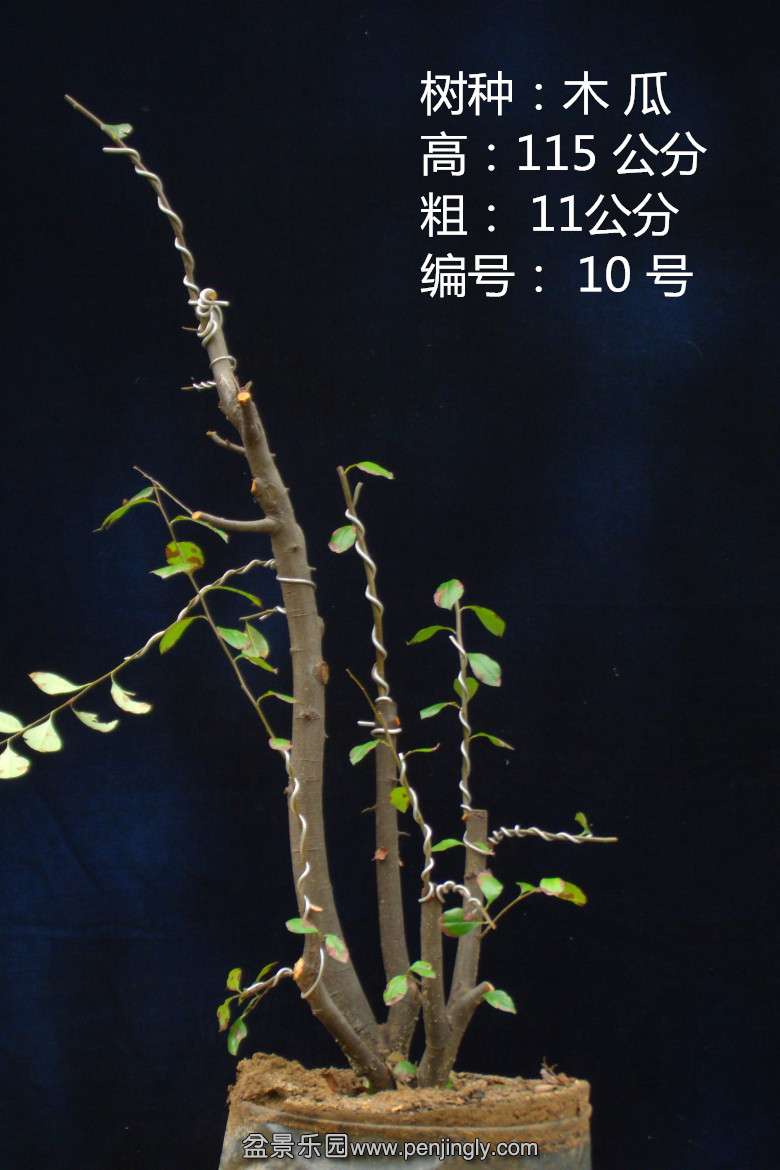 GEDC1651.jpg