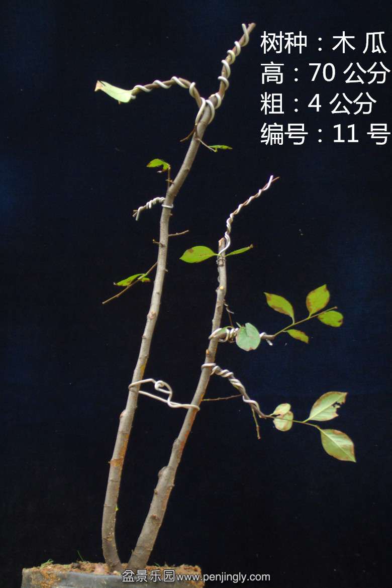 GEDC1653.jpg