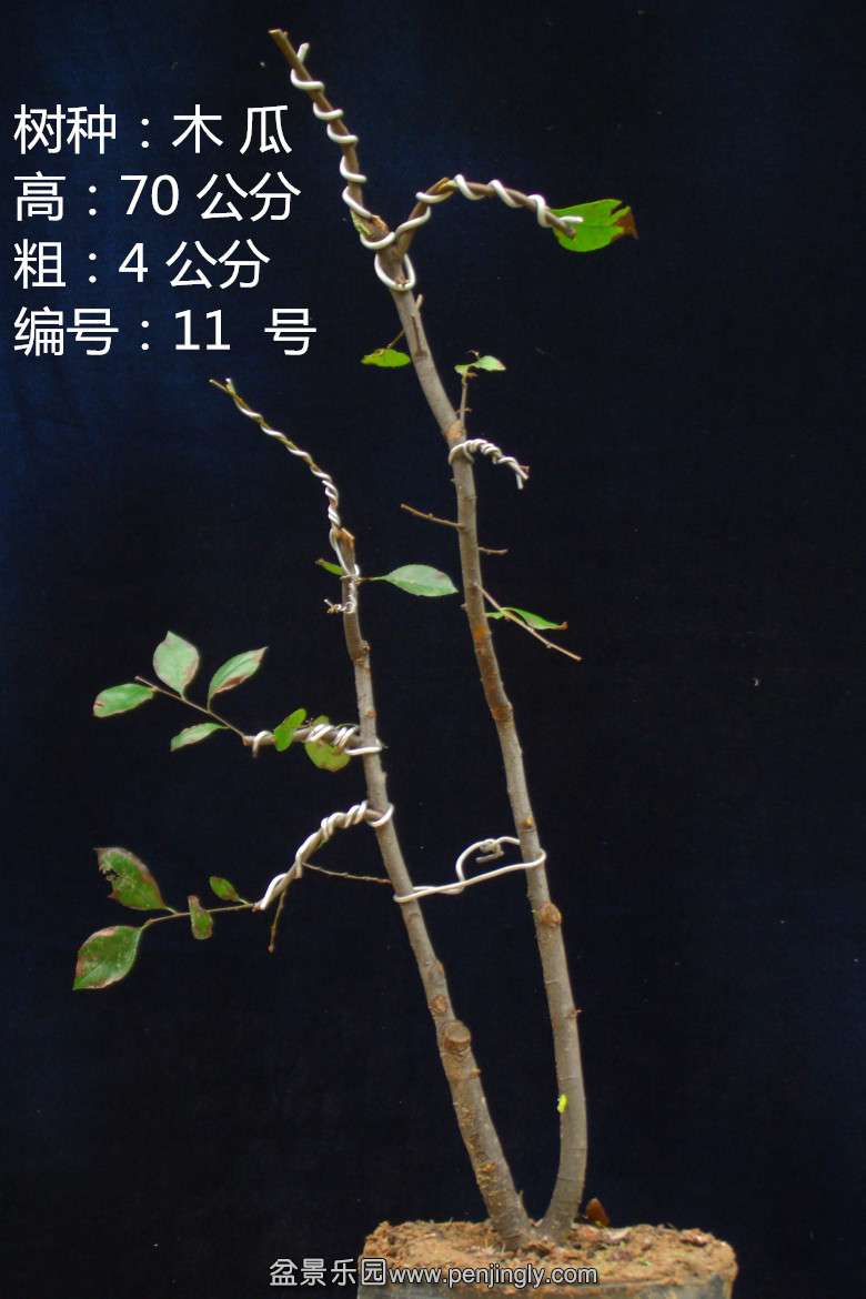 GEDC1655.jpg