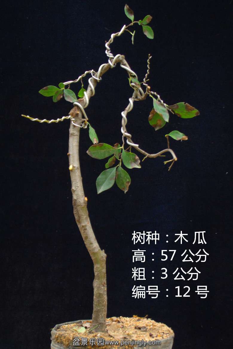 GEDC1656.jpg