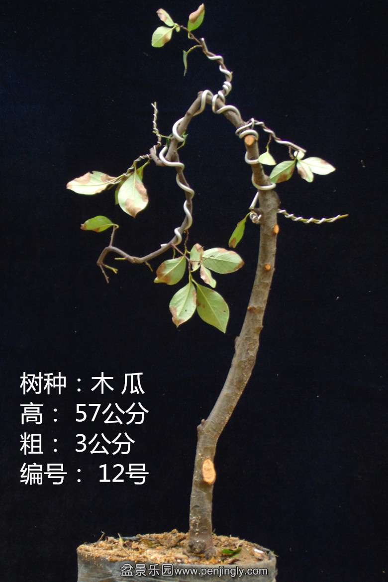 GEDC1657.jpg