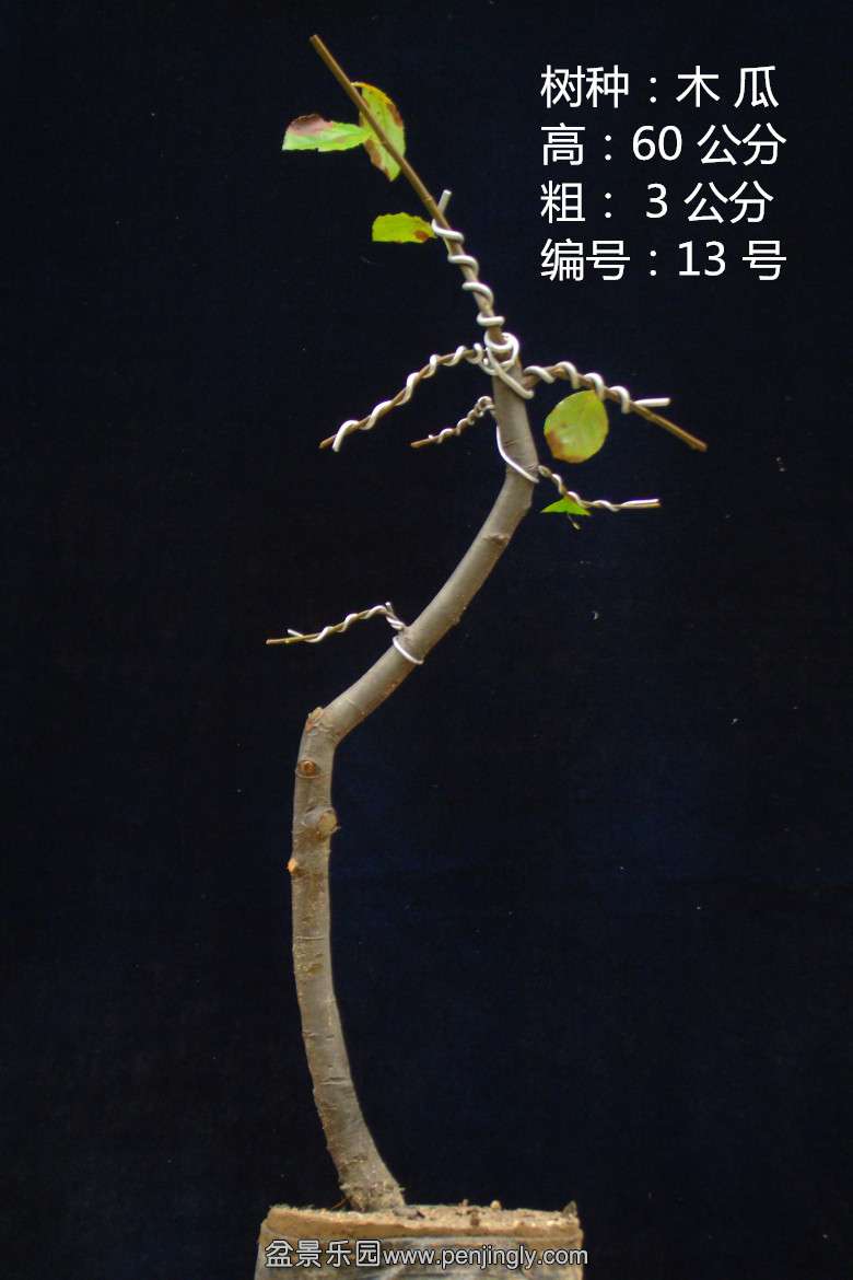 GEDC1659.jpg