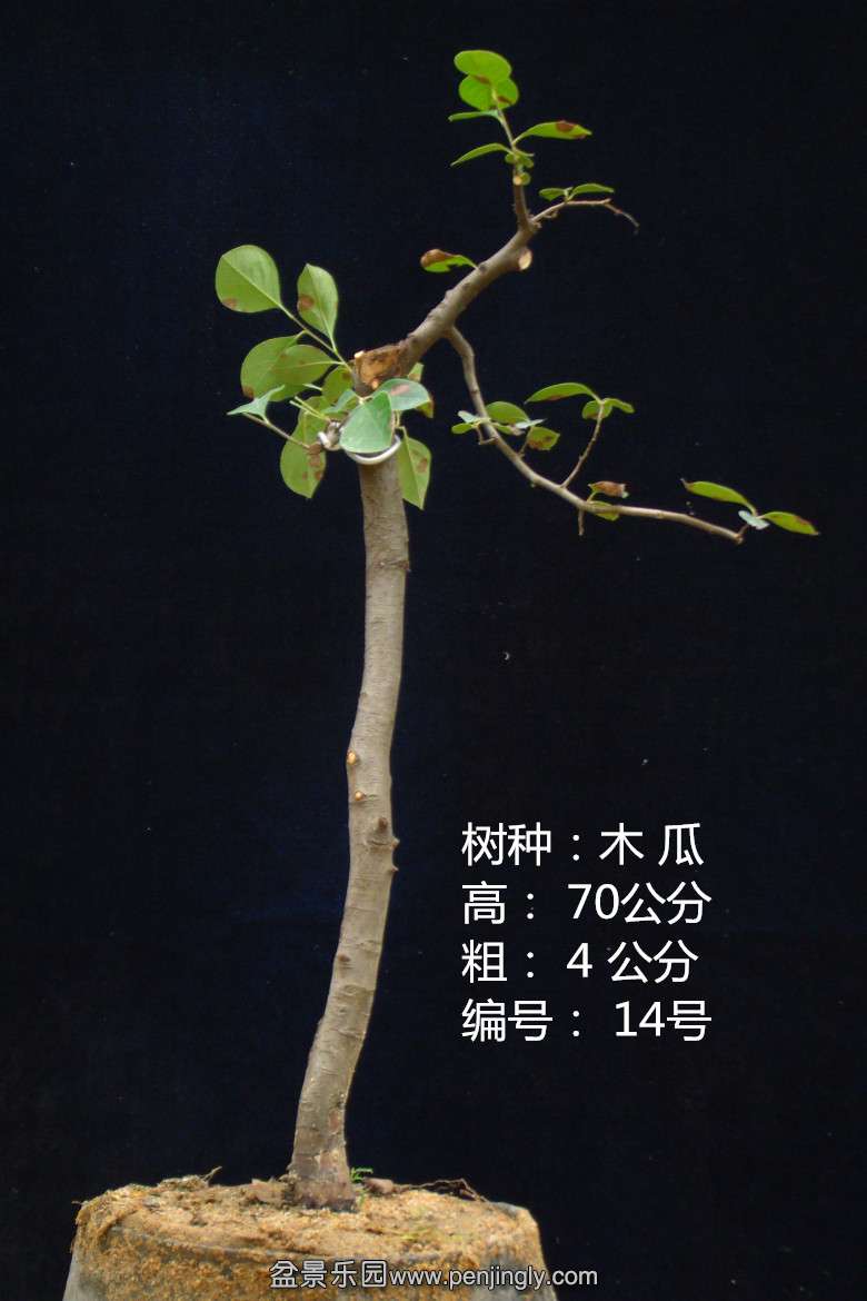 GEDC1660.jpg