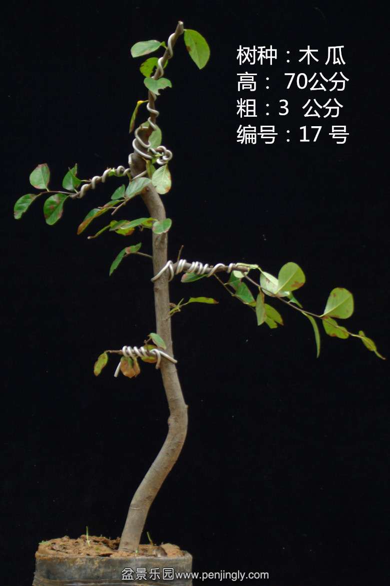 GEDC1668.jpg