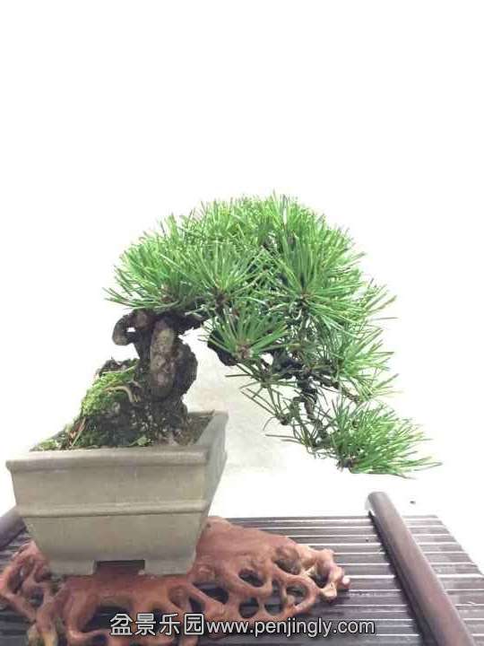 QQͼƬ20150903213844.jpg