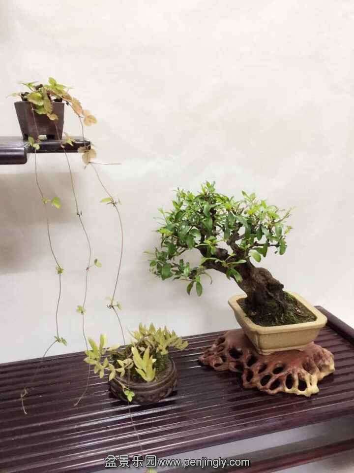 QQͼƬ20150903213859.jpg
