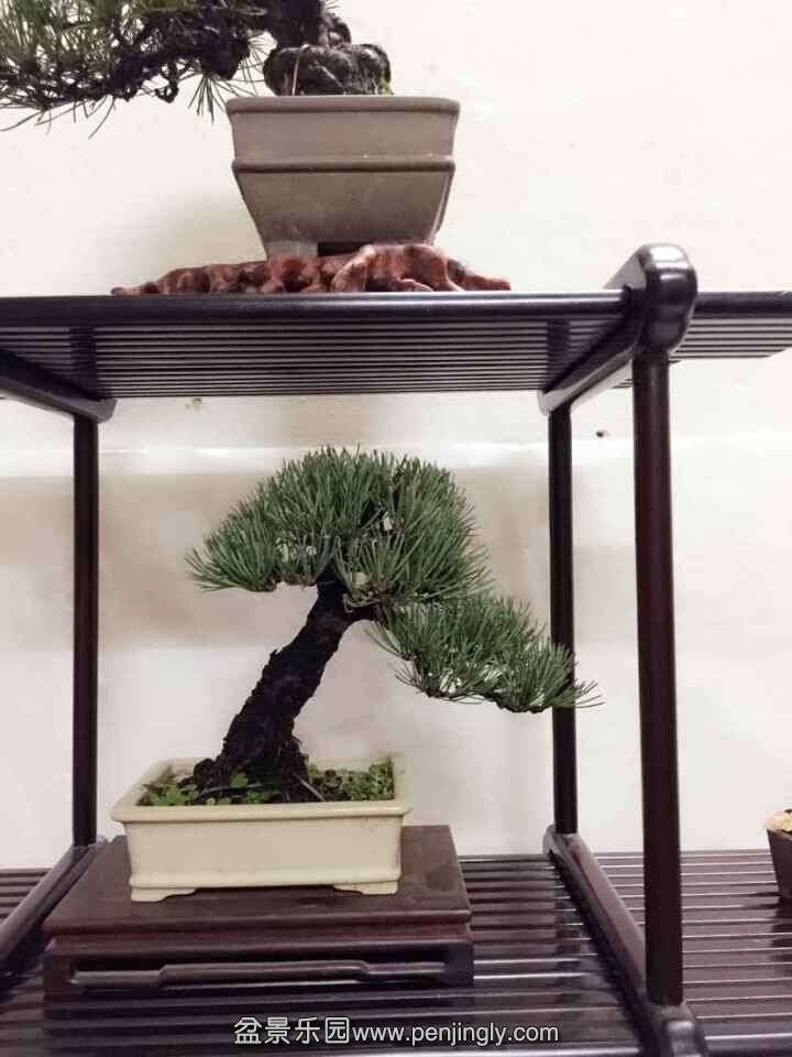 QQͼƬ20150903213854.jpg