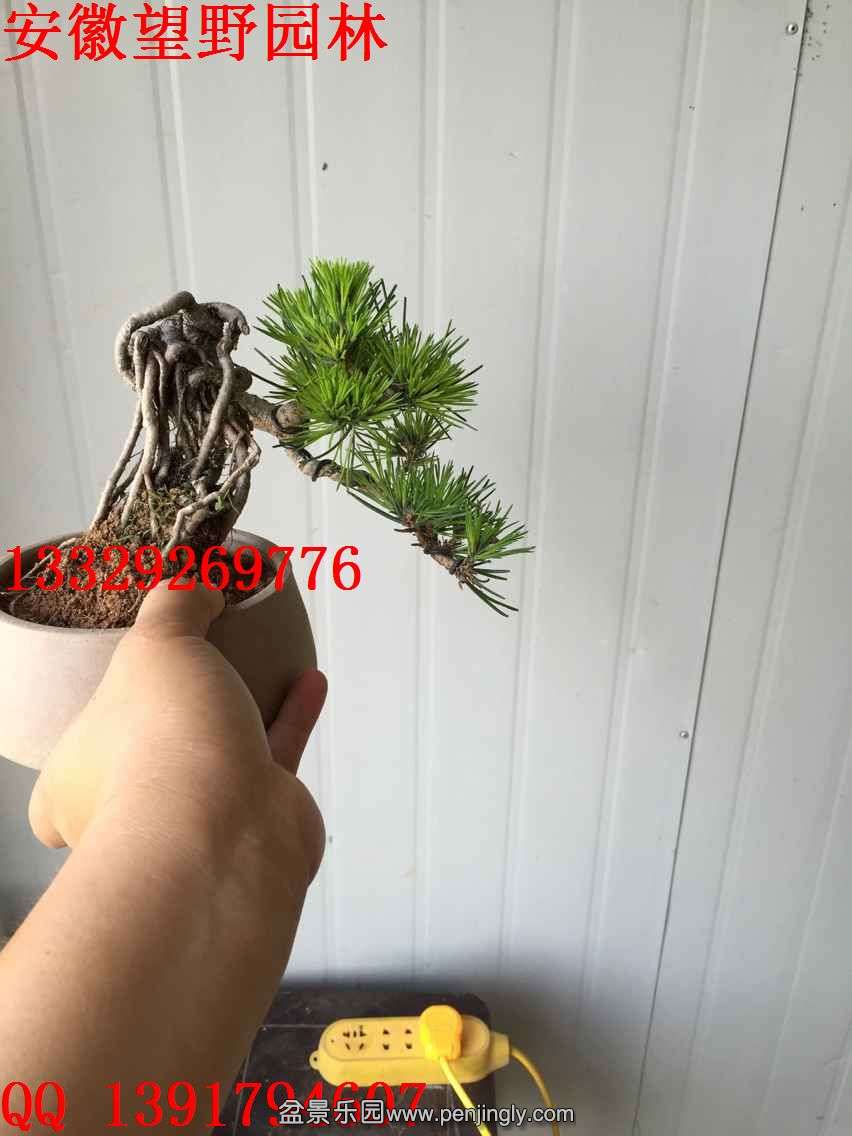 8FDC9A45A3EF4E7A54449AE7AEEE8409.jpg