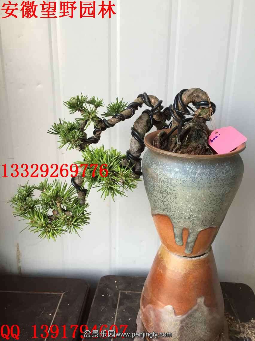 A0C1B346887A7CD00C6F1B73FB30E8B7.jpg