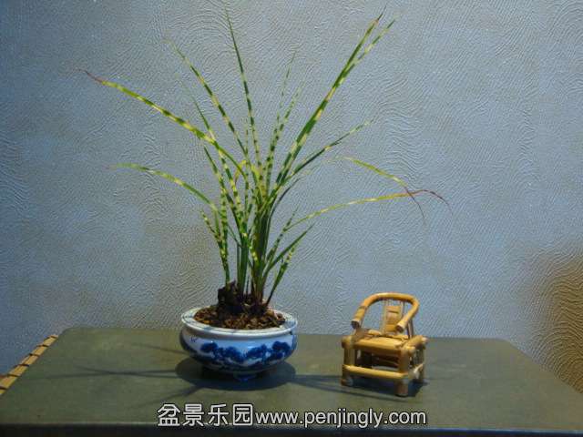 DSC01636.JPG
