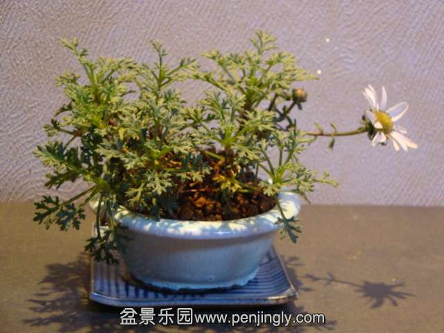 DSC01645.JPG