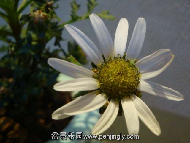 DSC01646.JPG