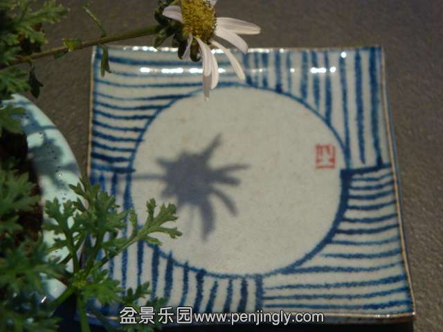 DSC01648.JPG