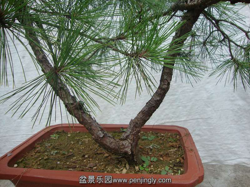 DSC03509_.jpg