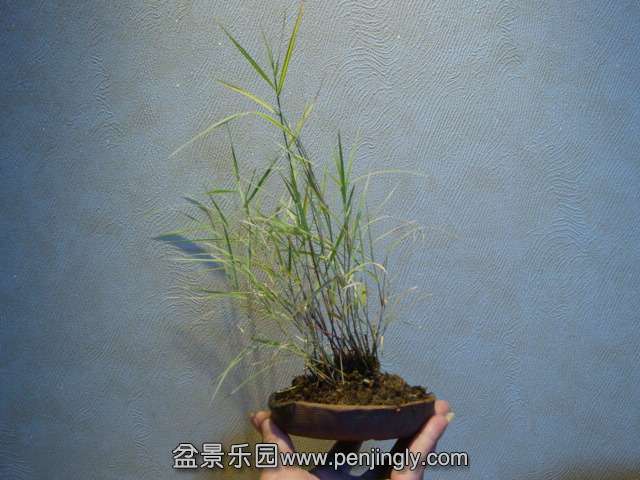 DSC01685.JPG