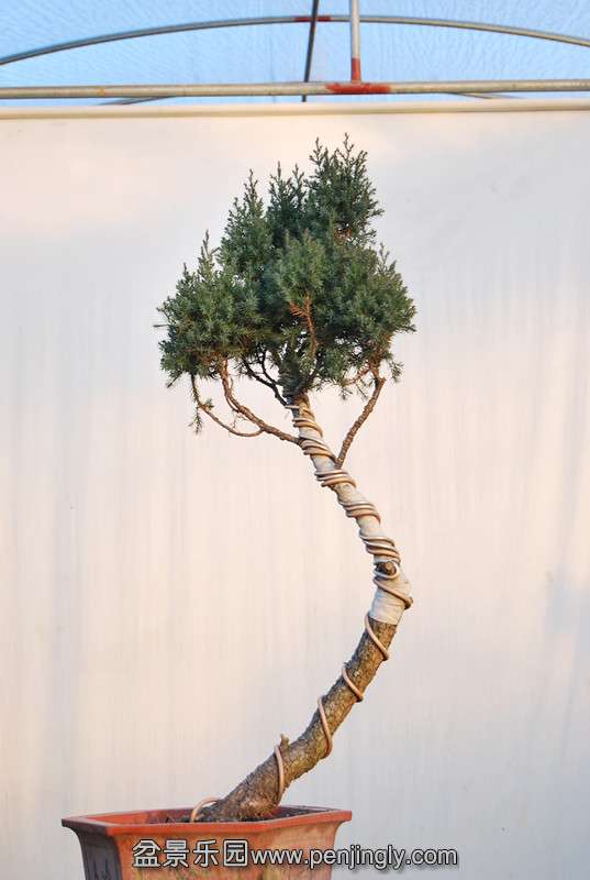 2Ʒķ_.jpg