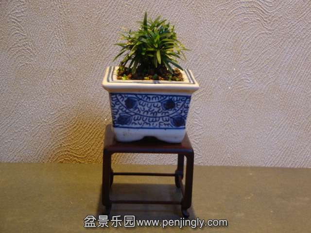 DSC01650.JPG