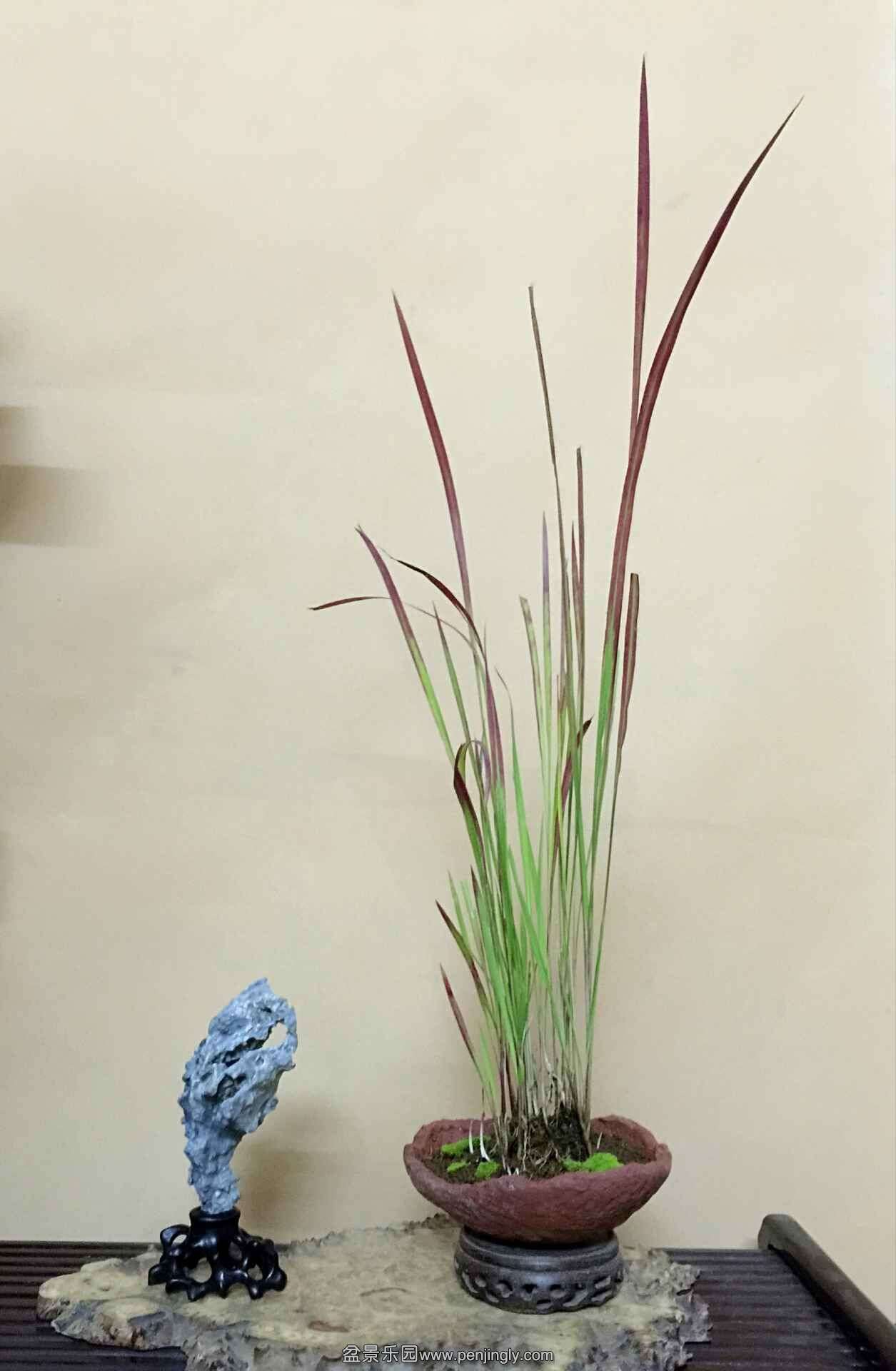 QQͼƬ20150908195008.jpg