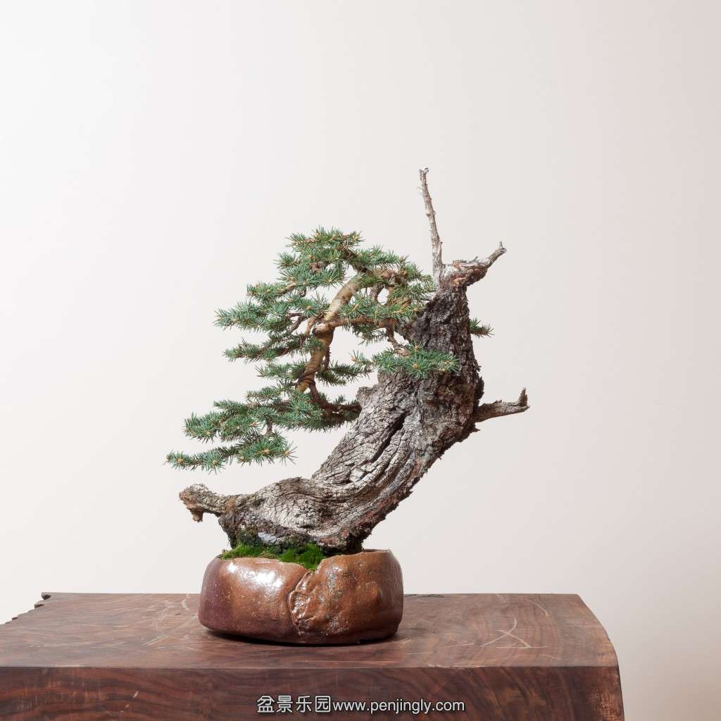 conew_14_0319_studio-382-2.jpg