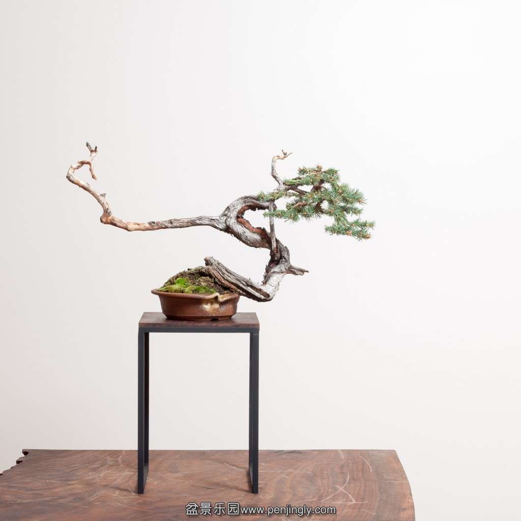 conew_14_0319_studio-392-2.jpg