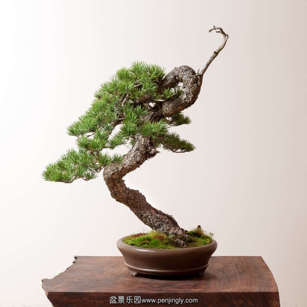 conew_14_0319_studio-010.jpg