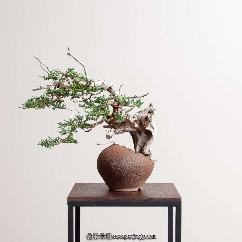 conew_14_0319_studio-275-3.jpg