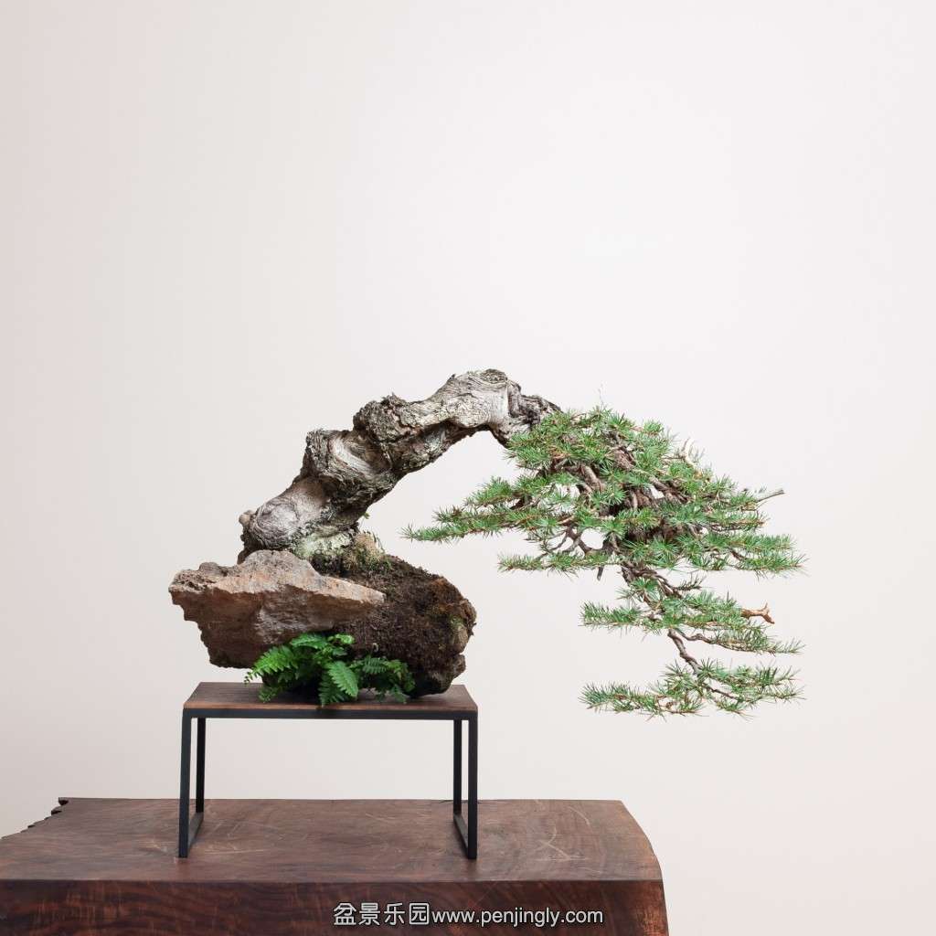 conew_14_0319_studio-722_0.jpg