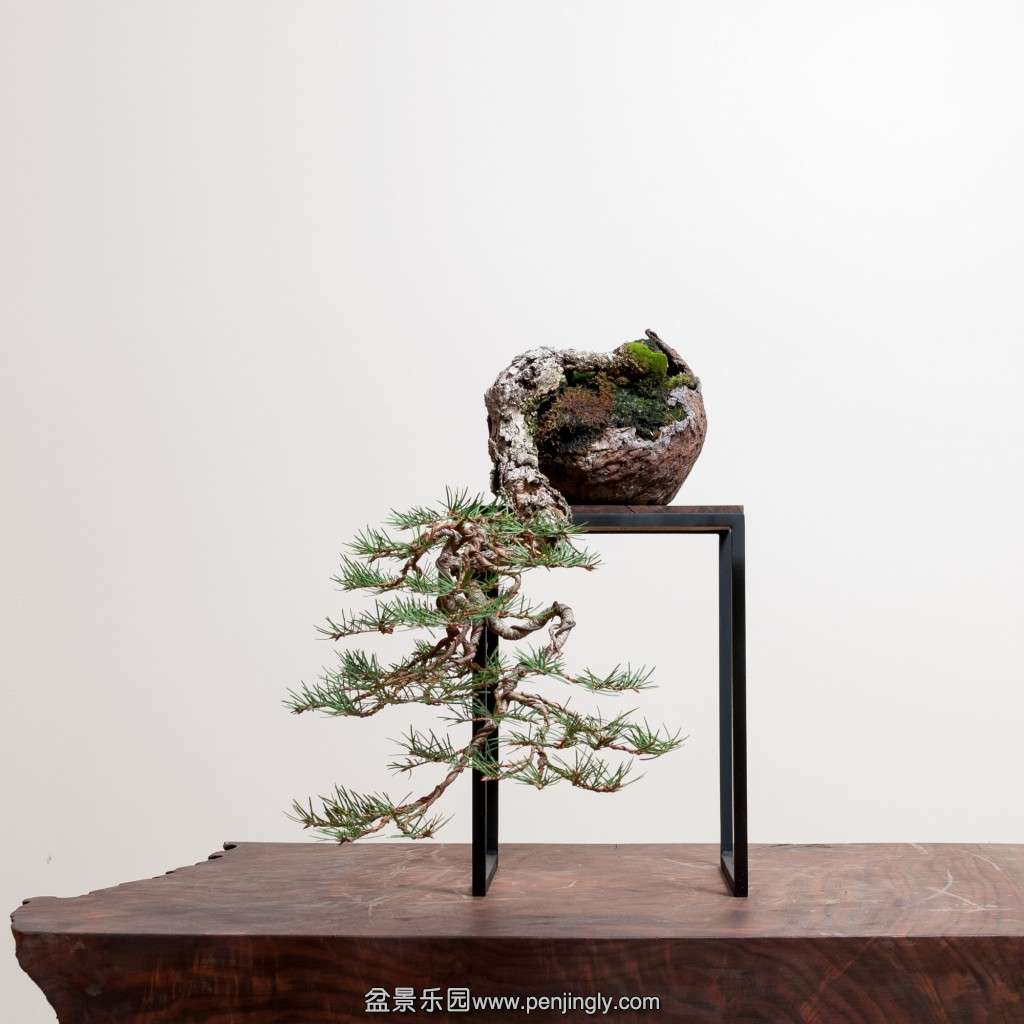 conew_14_0319_studio-742.jpg