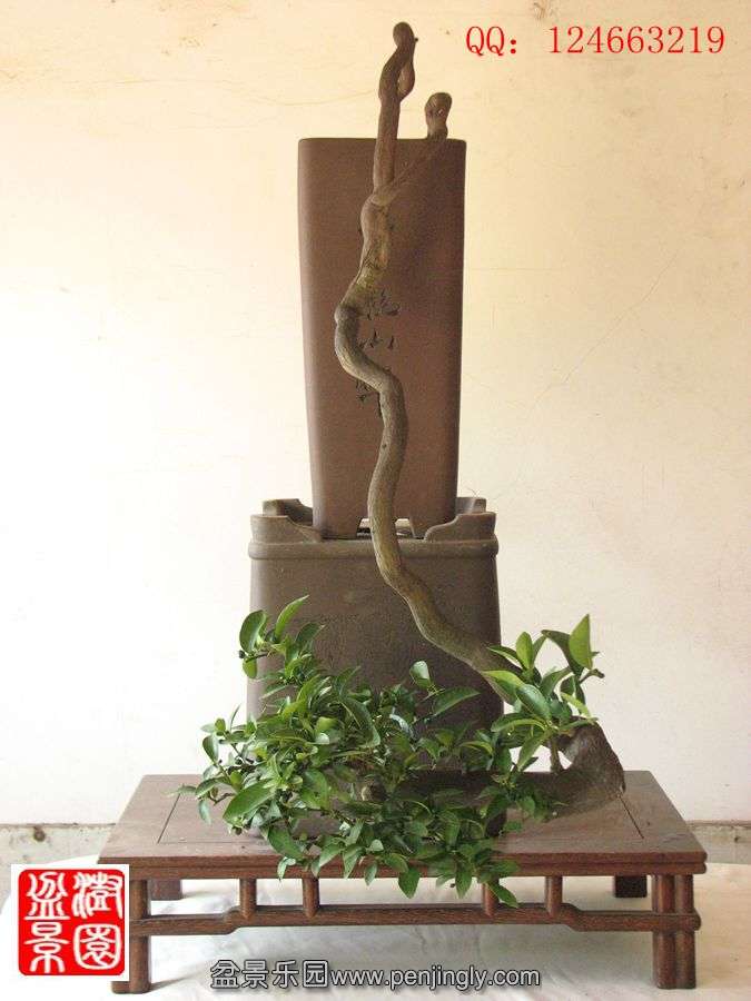 IMG_1744__.jpg